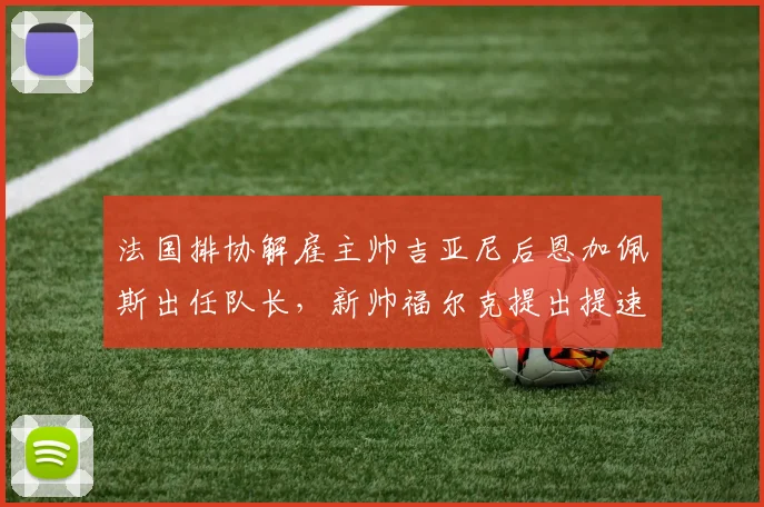 法国排协解雇主帅吉亚尼后恩加佩斯出任队长，新帅福尔克提出提速打法震惊世界排坛__br_