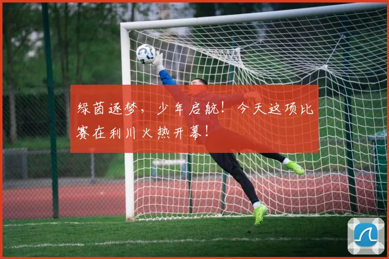 绿茵逐梦，少年启航！今天这项比赛在利川火热开幕！